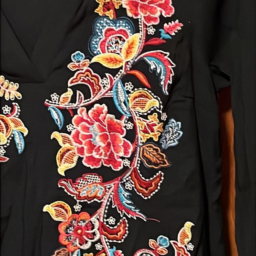 Savanna Jane Black V-Neck Blouse with Multicolor Floral Embroidery - Picture 5 of 12